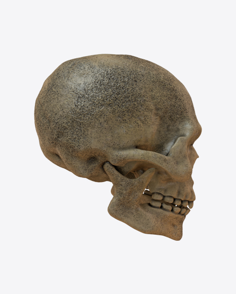 Skull PNG
