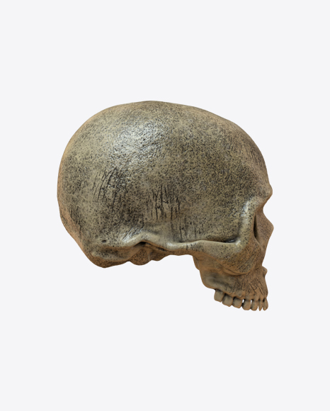 Skull PNG
