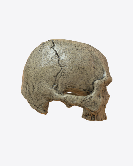 Skull PNG