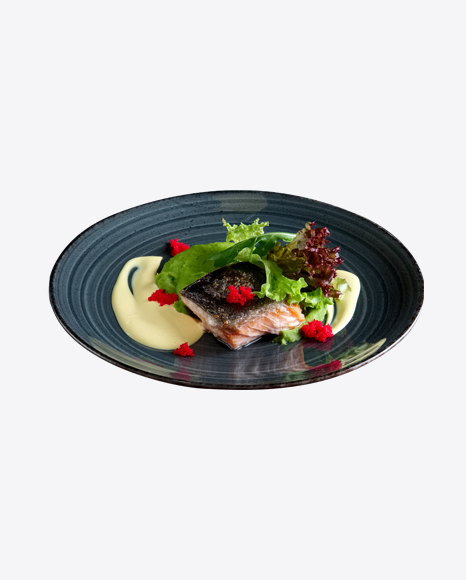 Salmon w/ Greens & Puree PNG