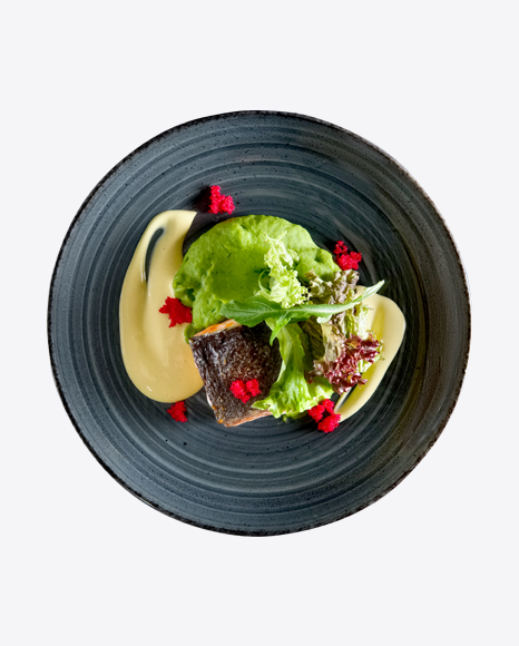 Salmon w/ Greens & Puree PNG