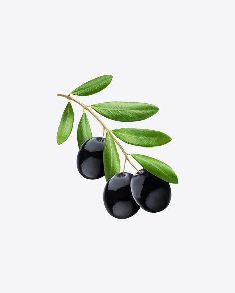 Black Olives Branch PNG