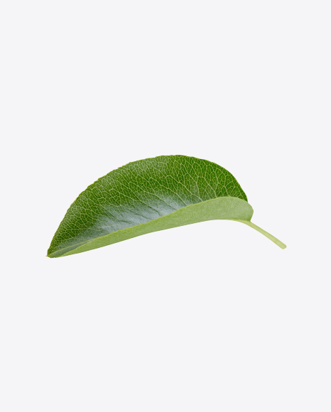 Green Leaf