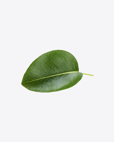 Green Leaf