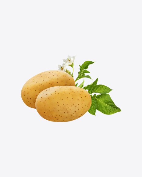Raw Potatoes w/ Leaves PNG