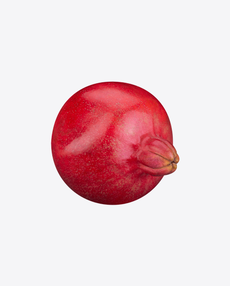 Pomegranate