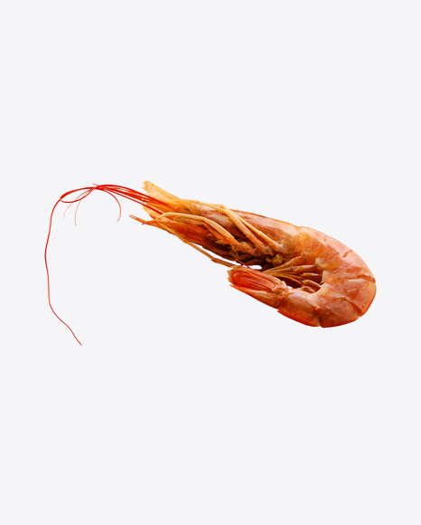 Raw Shrimp in Shell PNG
