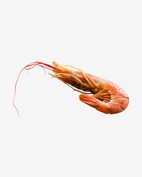 Raw Shrimps in Shell PNG