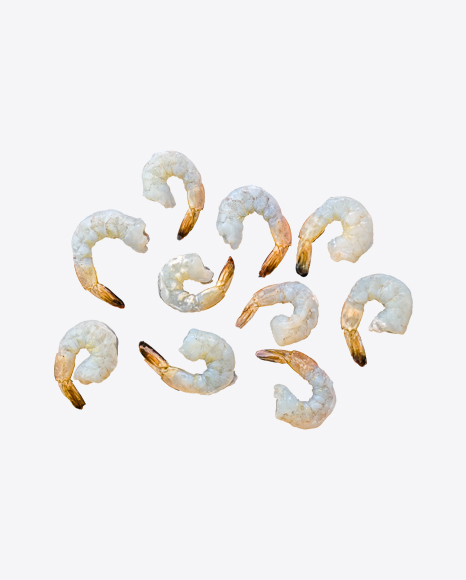 Shrimps Set PNG