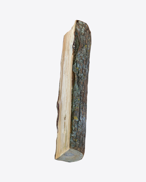 Pine Log PNG