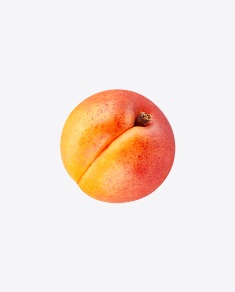 Apricot
