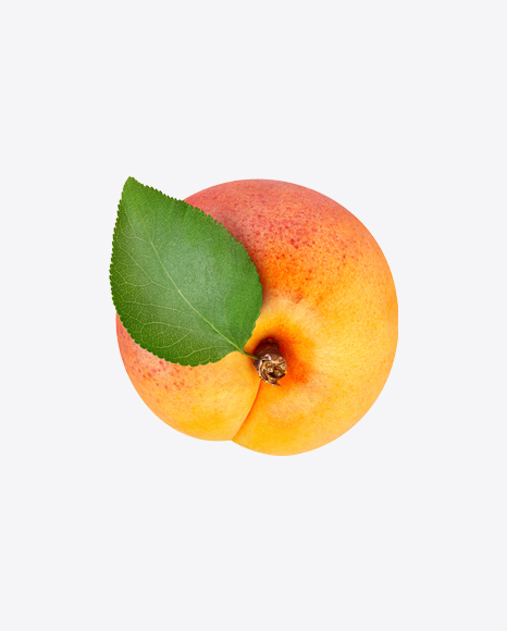 Apricot