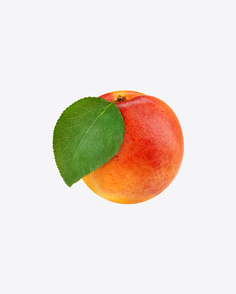 Apricot