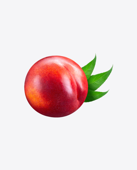 Nectarine