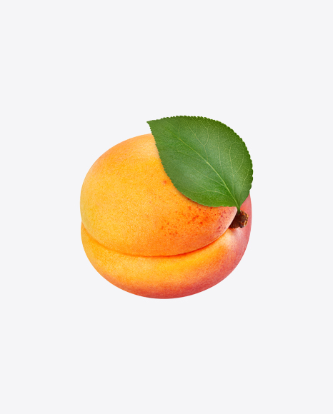 Apricot