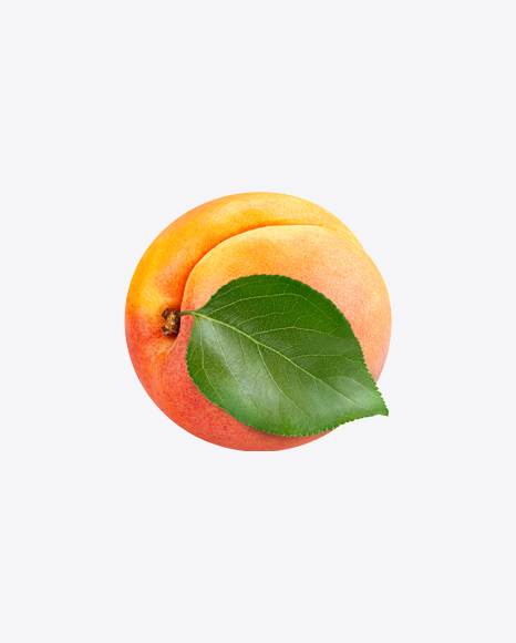 Apricot