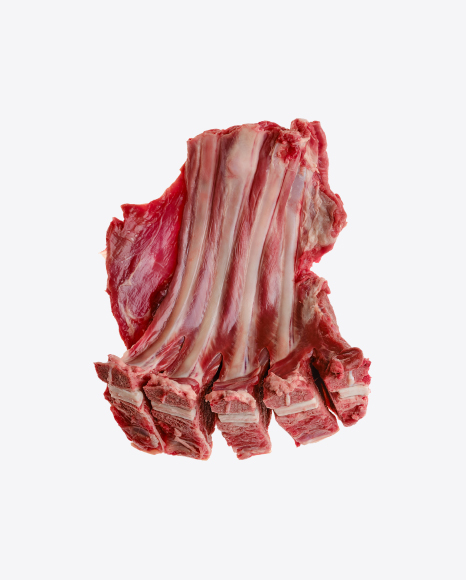 Raw Deer Ribs PNG