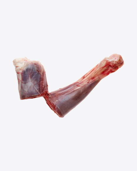 Raw Deer Shank PNG
