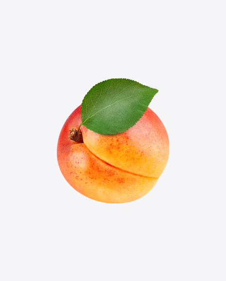 Apricot