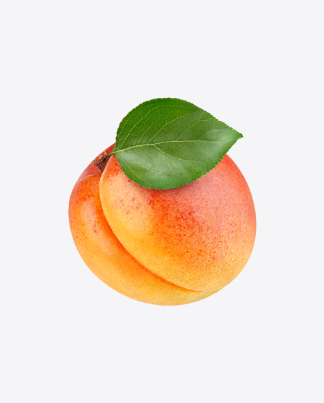 Apricot