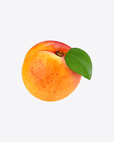 Apricot
