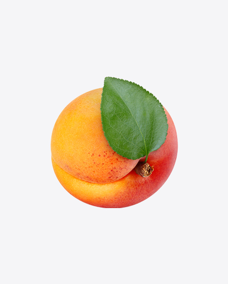 Apricot