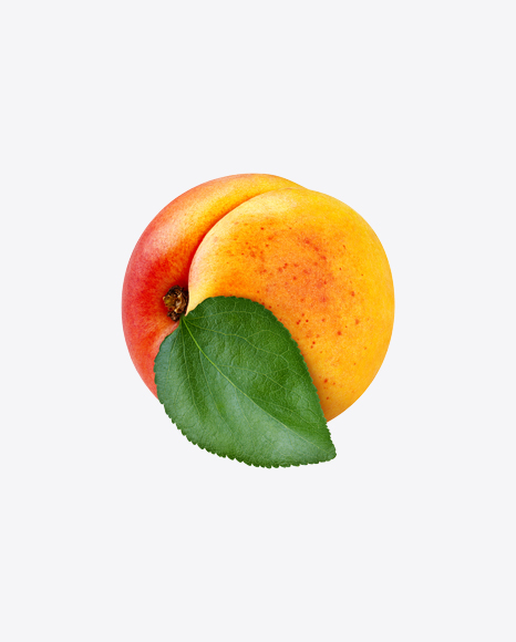 Apricot