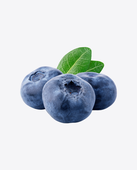 Blueberries Set PNG