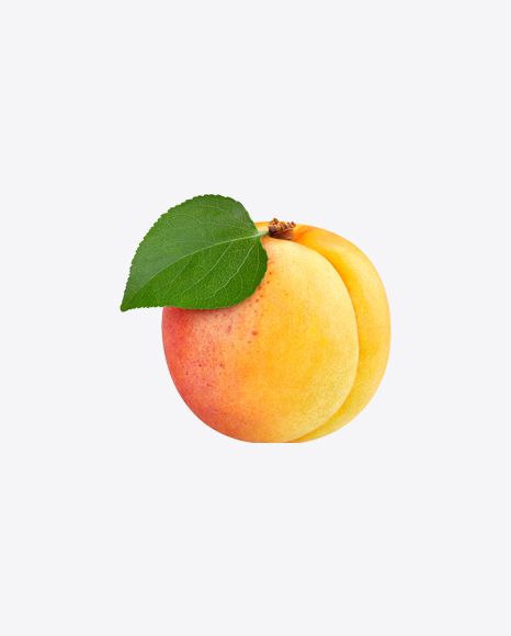Apricot
