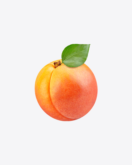 Apricot