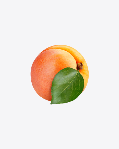 Apricot