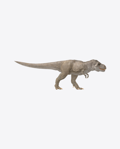 Tyrannosaurus PNG