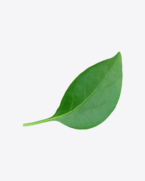 Green Leaf