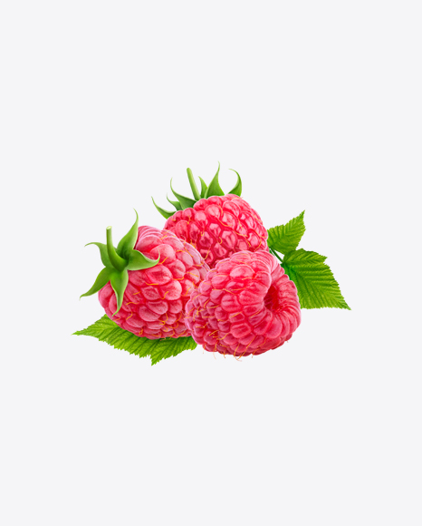 Raspberry Set PNG