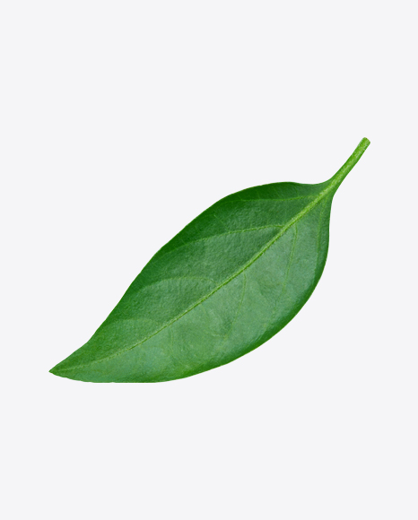 Green Leaf