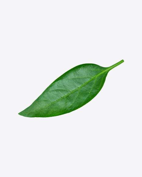 Green Leaf