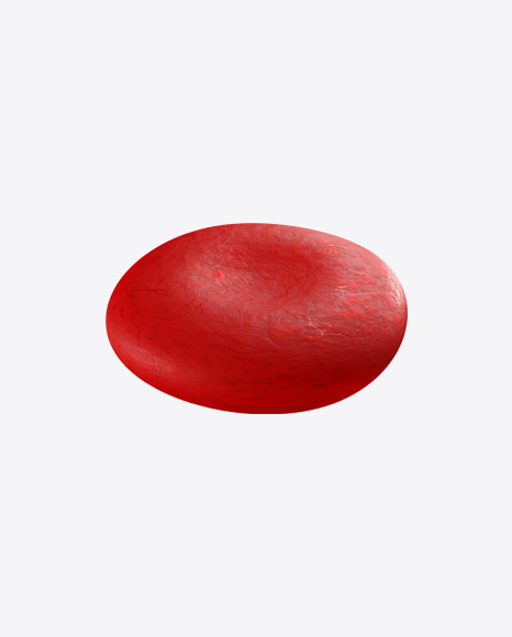 Erythrocyte