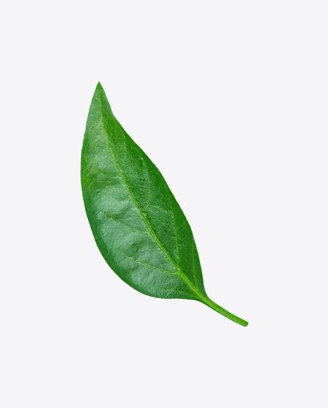 Green Leaf