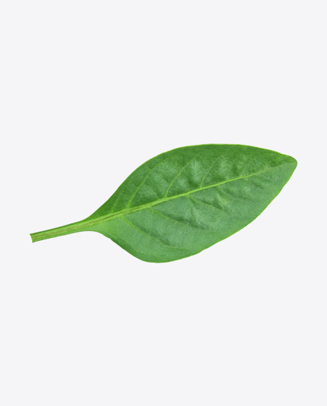 Green Leaf