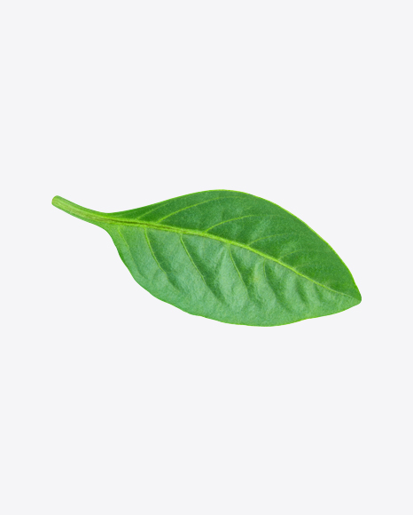 Green Leaf