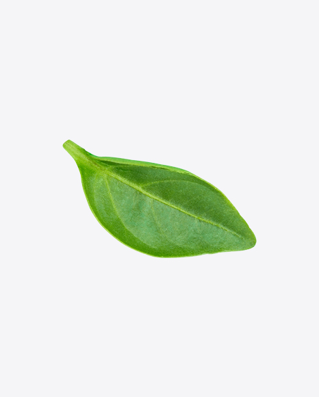 Green Leaf