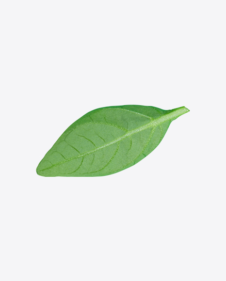 Green Leaf
