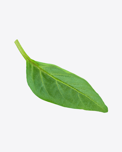 Green Leaf