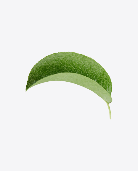 Green Leaf
