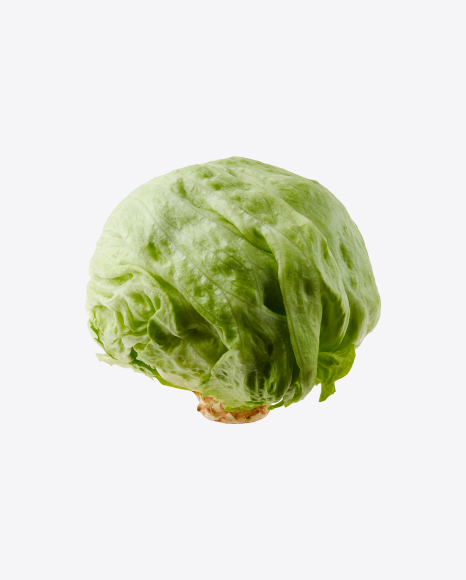 Iceberg lettuce PNG