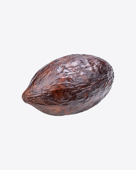 Cocoa Fruit