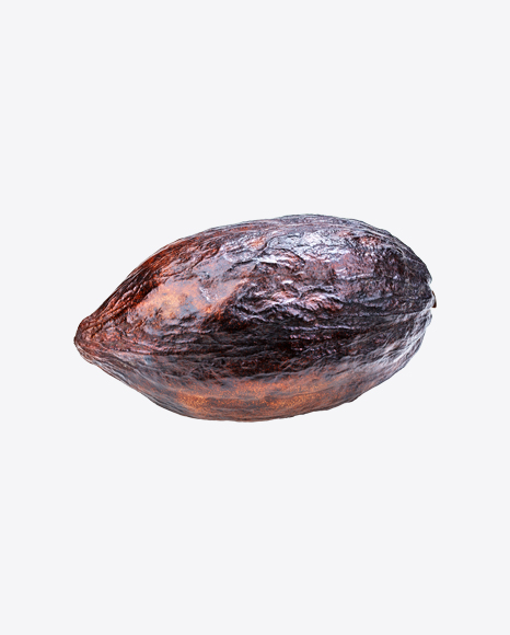 Cocoa Fruit