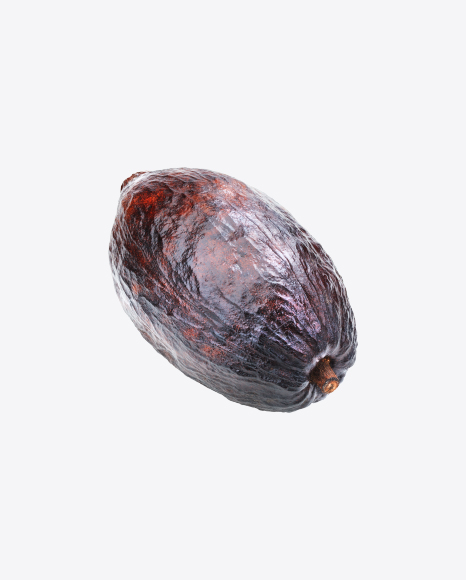 Cocoa Fruit