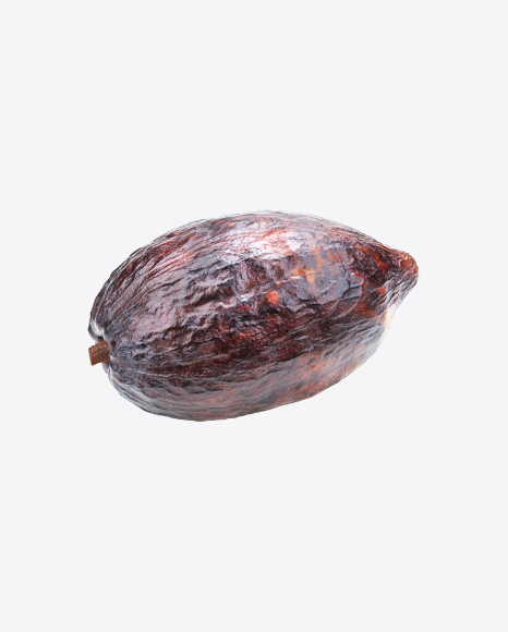 Cocoa Fruit