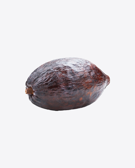 Cocoa Fruit